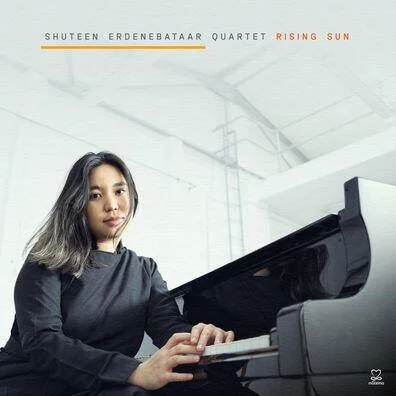 diversevinyl3303292