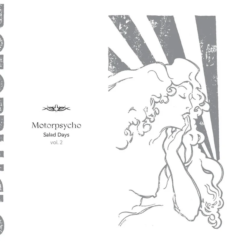 diversevinyl3306508
