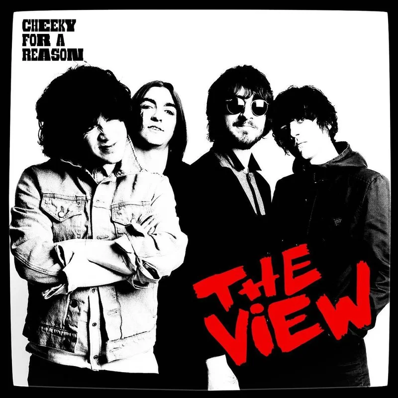 diversevinyl3317646