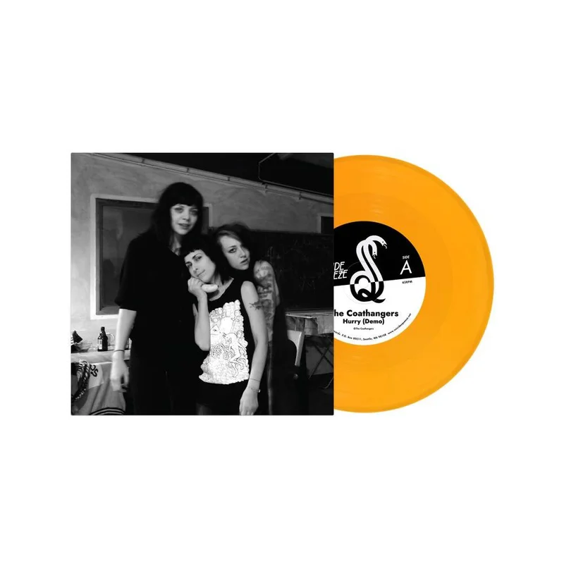 diversevinyl3322345