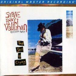 diversevinyl3384219