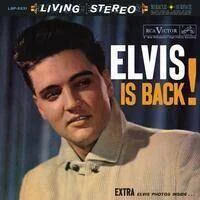 diversevinyl3386440