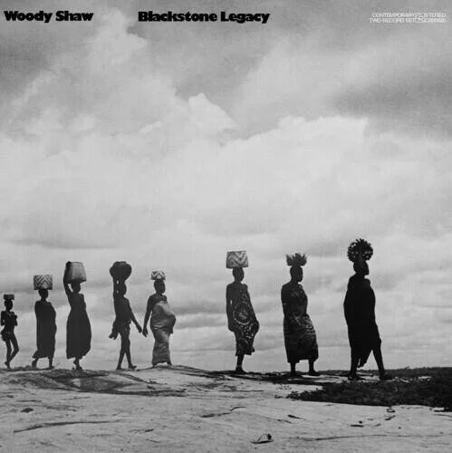 diversevinyl3393114