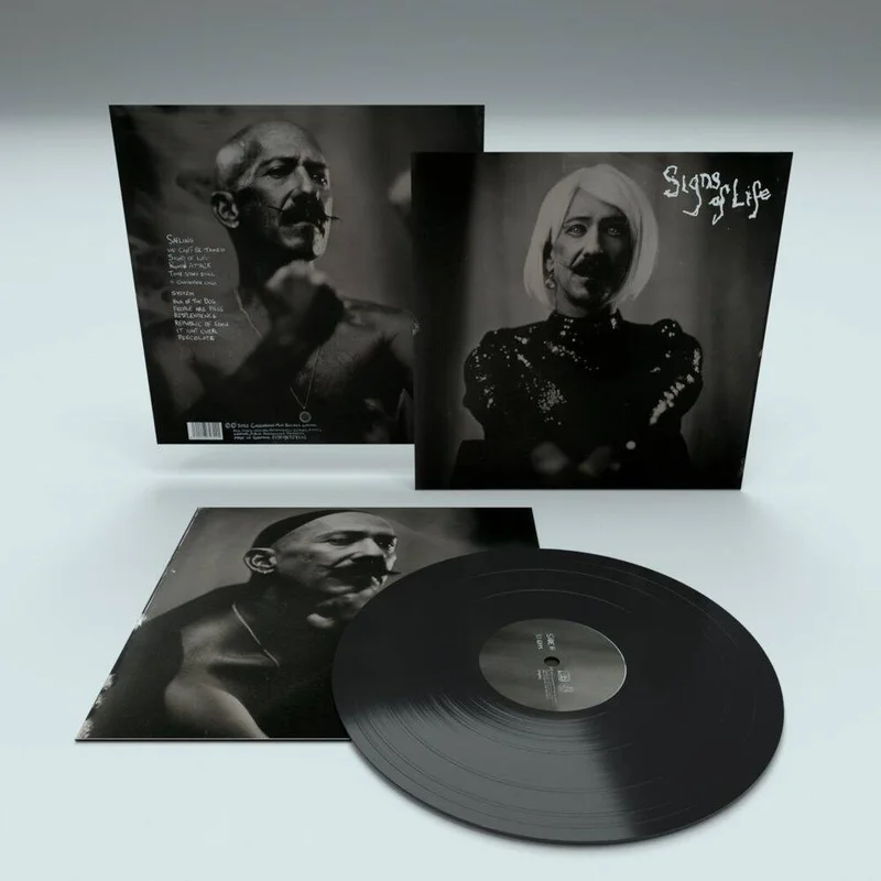 diversevinyl3396313