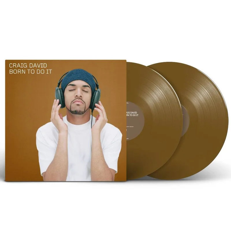 diversevinyl3413273