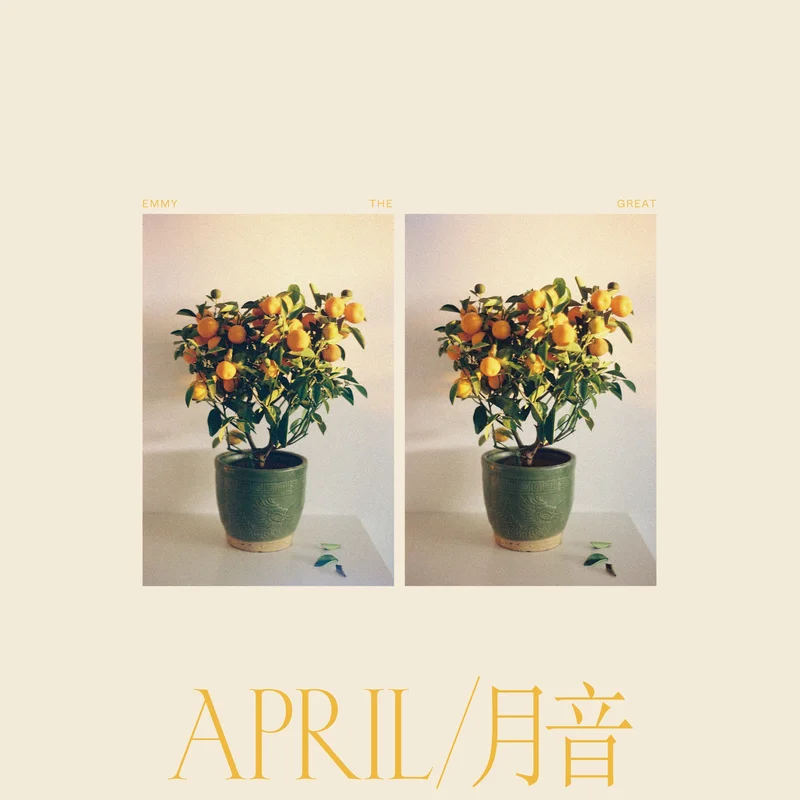 hundredrecords2587760
