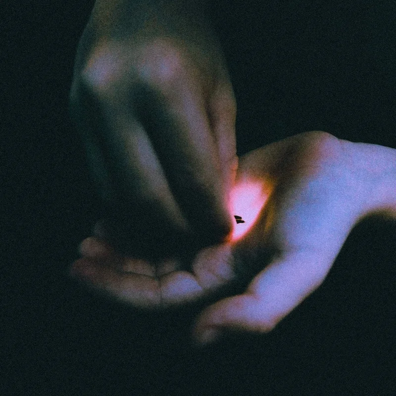 hundredrecords2597491