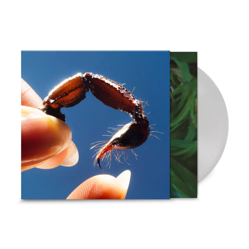 hundredrecords2647942