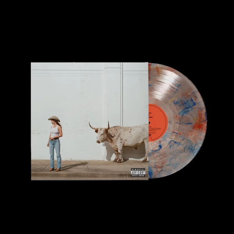 hundredrecords2700793