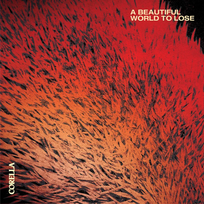 hundredrecords2704190