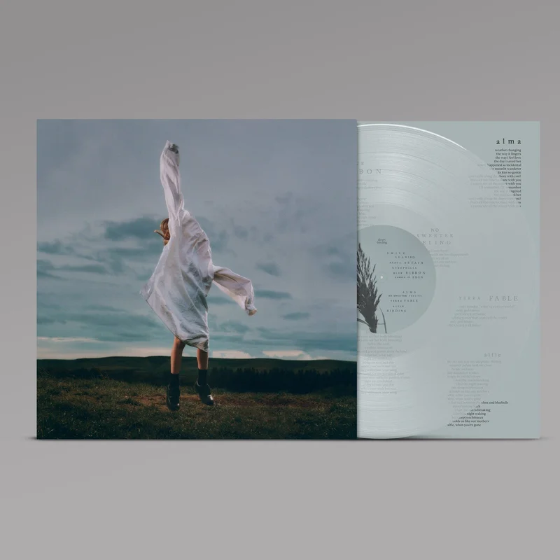 hundredrecords2705024