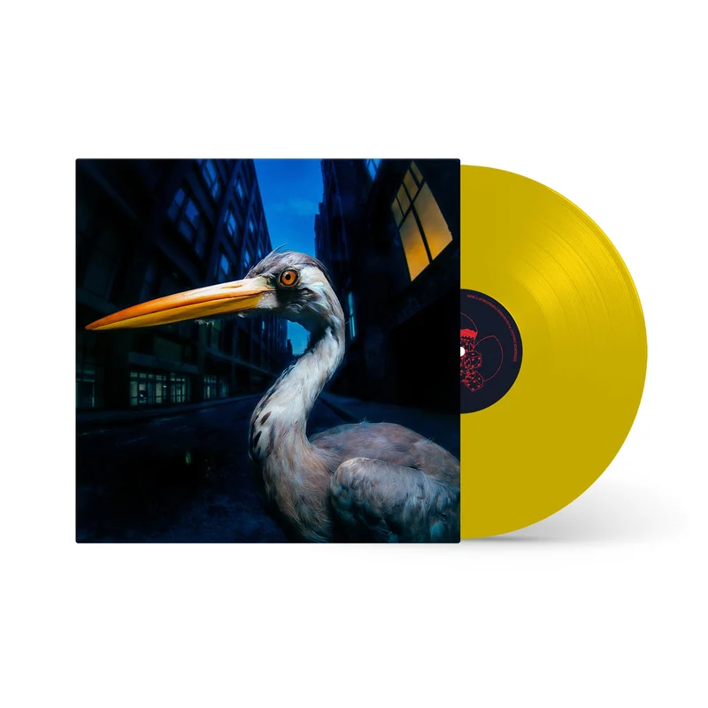 hundredrecords2705607