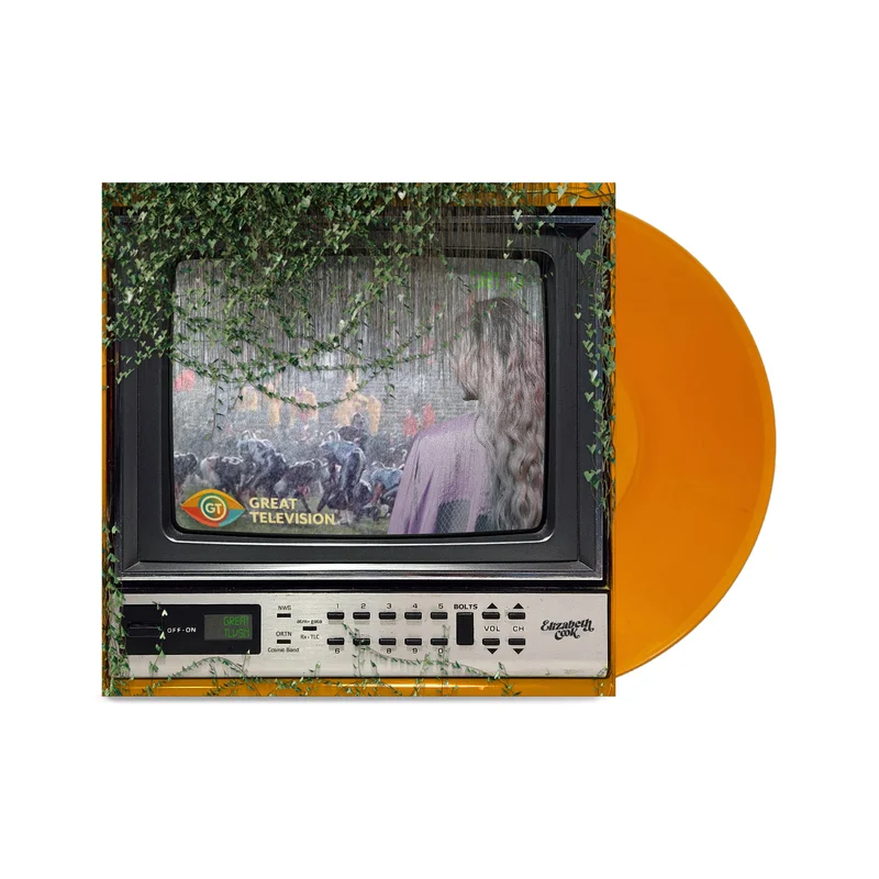 hundredrecords2768116