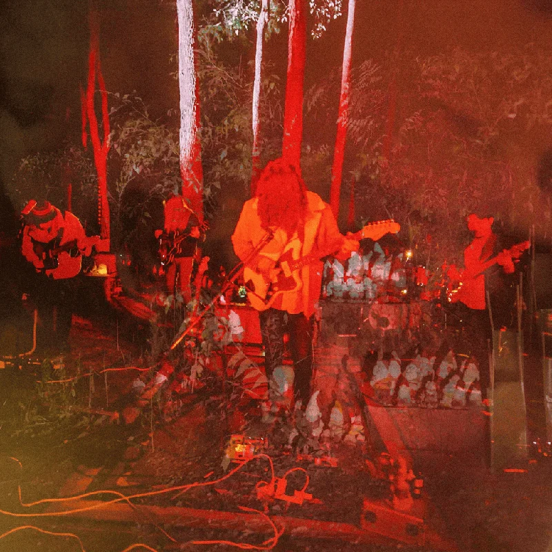 jwrayrecords2632375