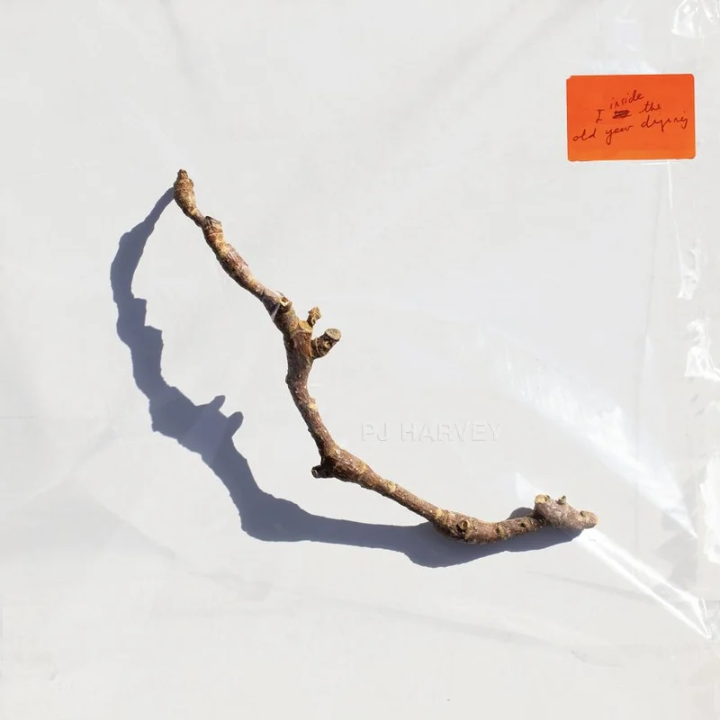 jwrayrecords2639178