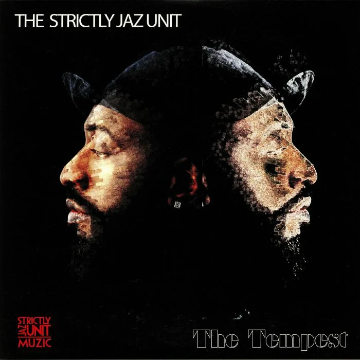 vinylunderground2560020