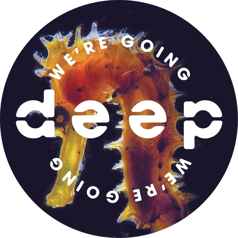 vinylunderground2579444